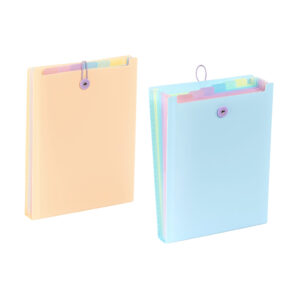 Expanding organizer sa 6 pregrada i gumicom USPRAVNI Rainbow Pastel sortirano