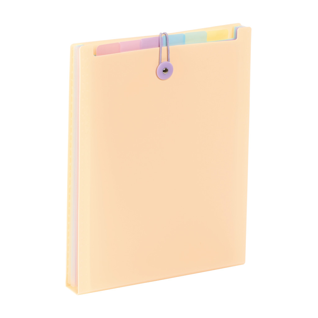 Expanding organizer sa 6 pregrada i gumicom USPRAVNI Rainbow Pastel sortirano