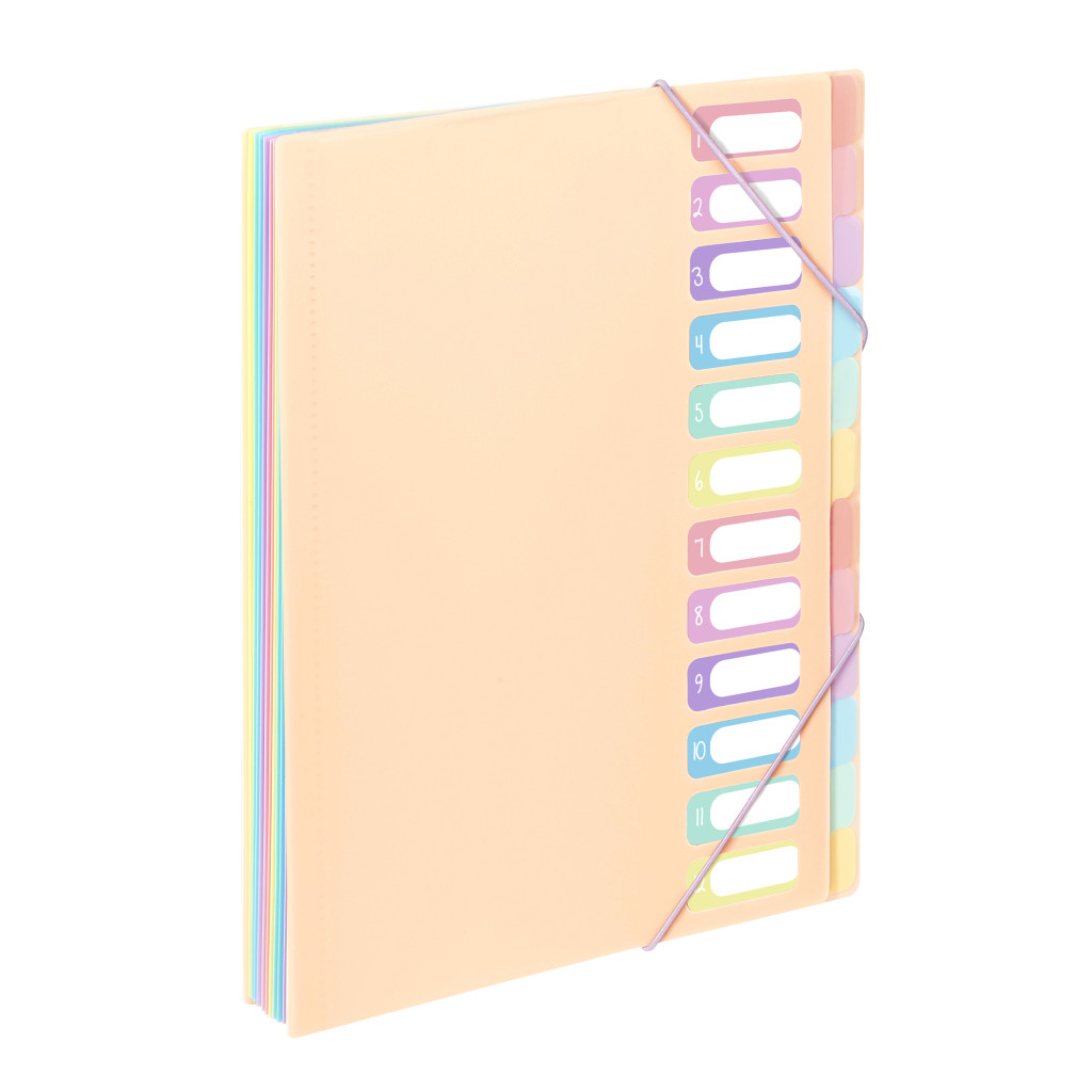 PVC Organiser sa 12 pregrada i gumicom Rainbow Pastel sortirano