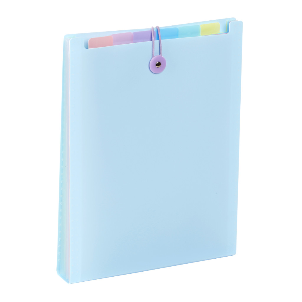 Expanding organizer sa 6 pregrada i gumicom USPRAVNI Rainbow Pastel sortirano