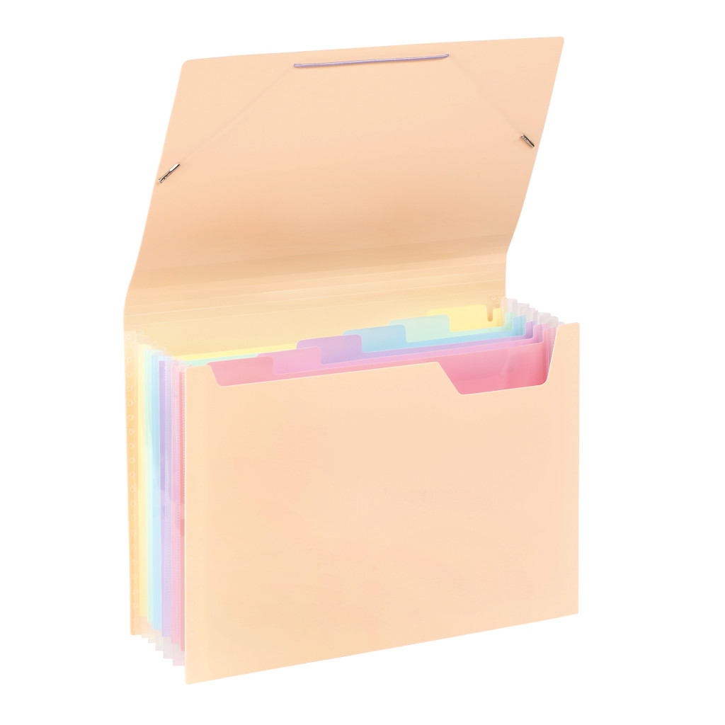 Expanding organizer sa 6 pregrada i gumicom Rainbow Pastel sortirano