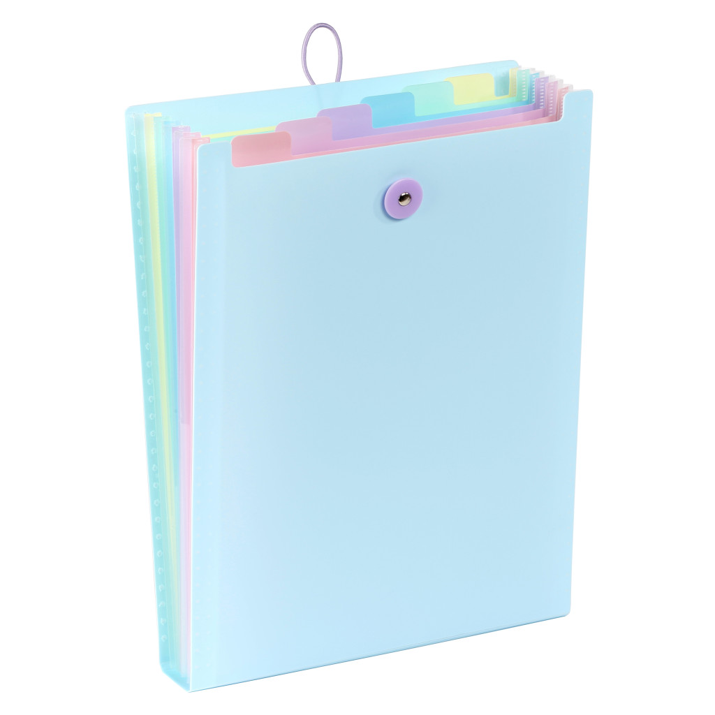 Expanding organizer sa 6 pregrada i gumicom USPRAVNI Rainbow Pastel sortirano