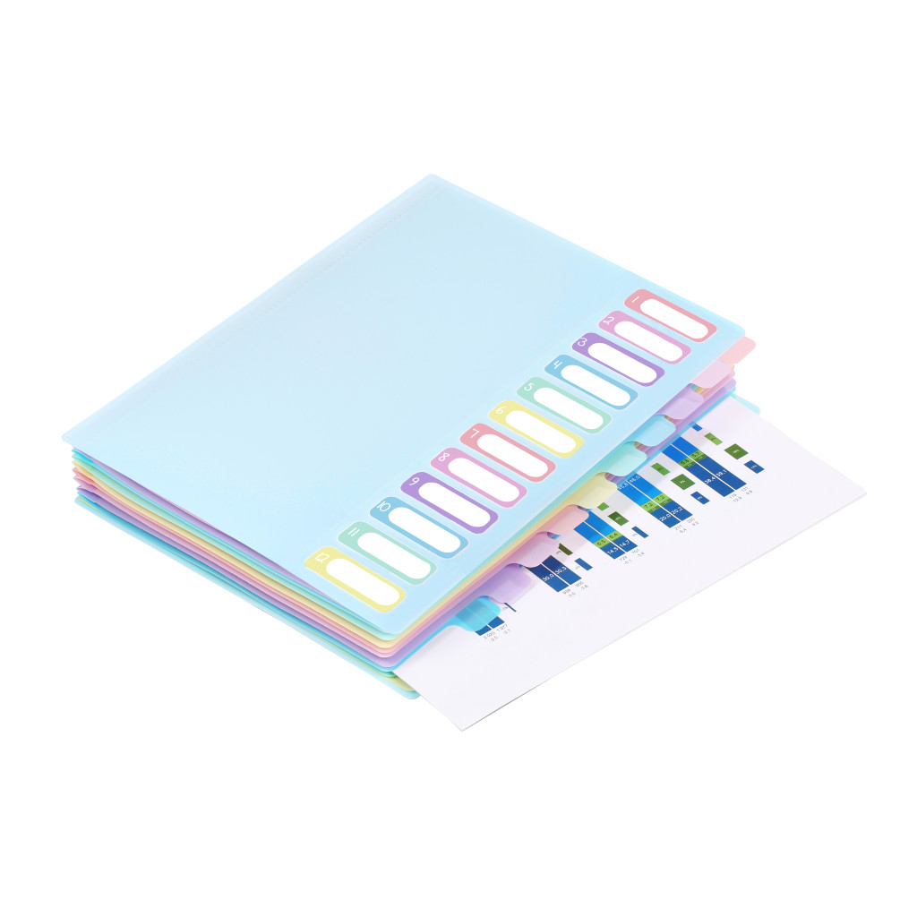 PVC Organiser sa 12 pregrada i gumicom Rainbow Pastel sortirano