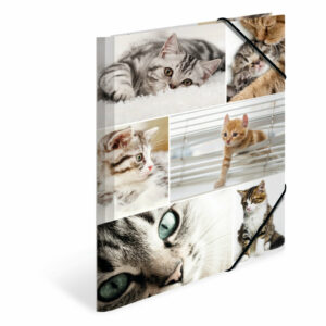 Fascikla plastificirana sa gumicom CATS, 240 x 320 x 15 mm