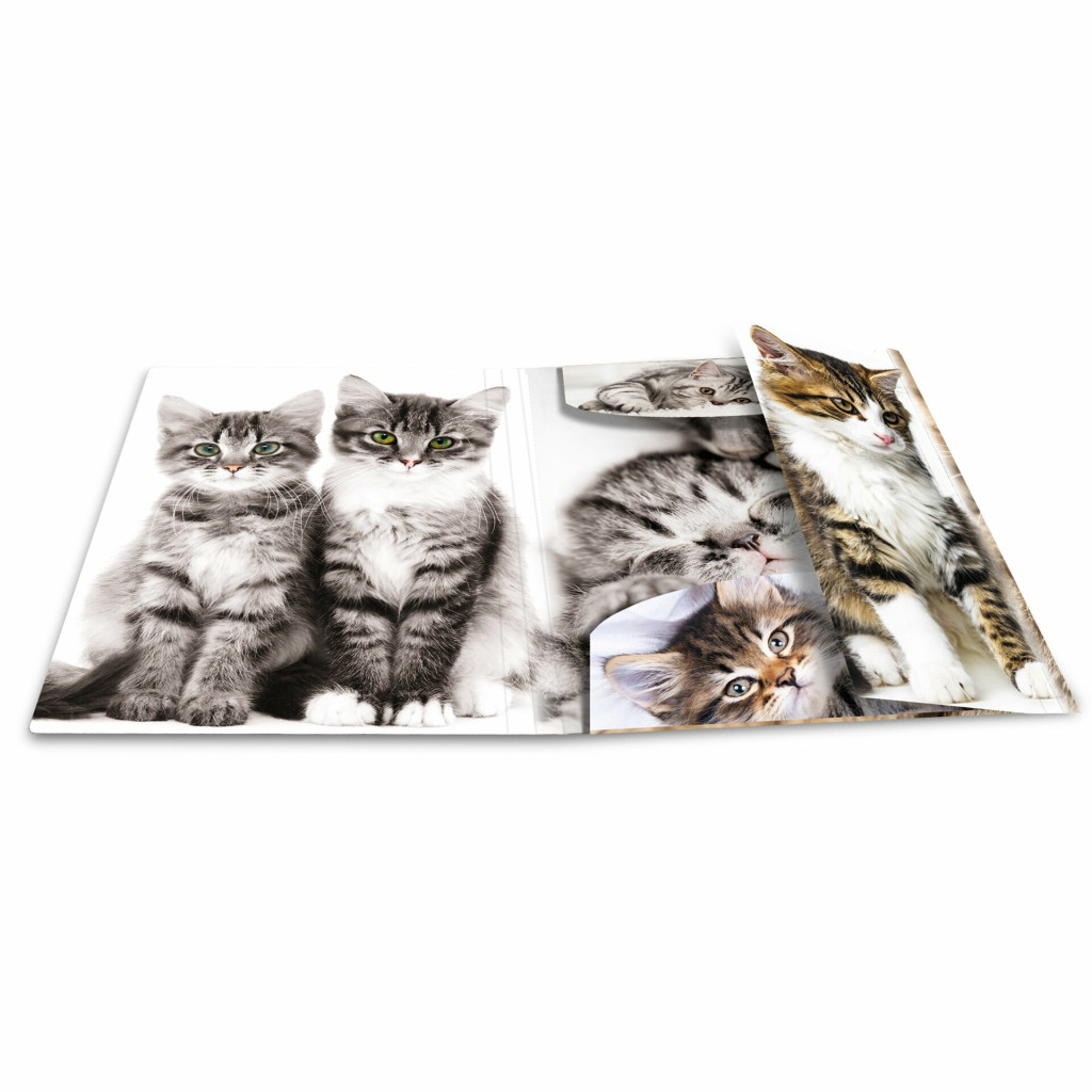Fascikla PP sa gumicom CATS, 240 x 320 x 15 mm