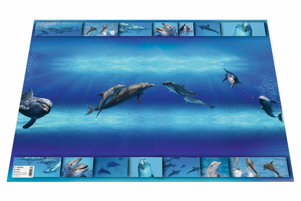 Podloga za sto 550x350 mm, DELFIN Podloga za sto 550x350 mm, DELFIN