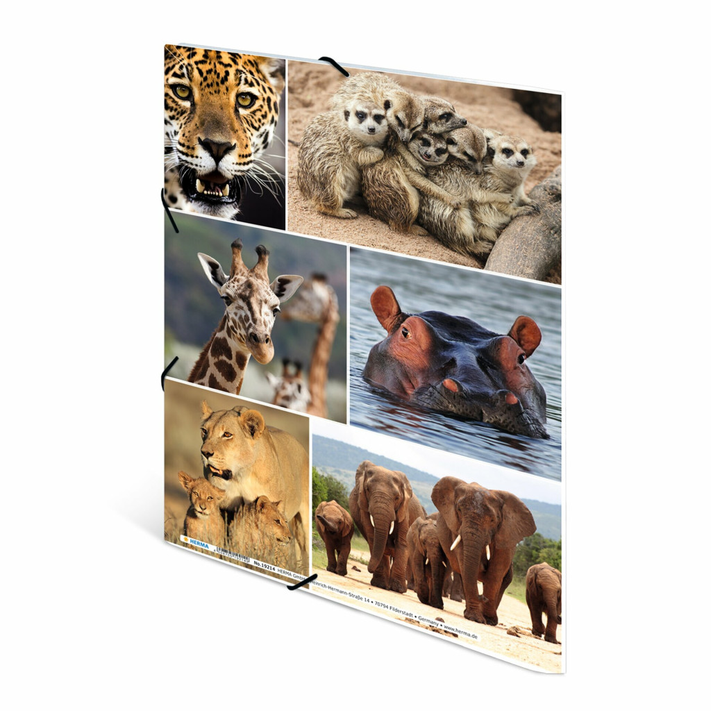 Fascikla plastificirana sa gumicom AFRICA ANIMALS, 240 x 320 x 15 mm