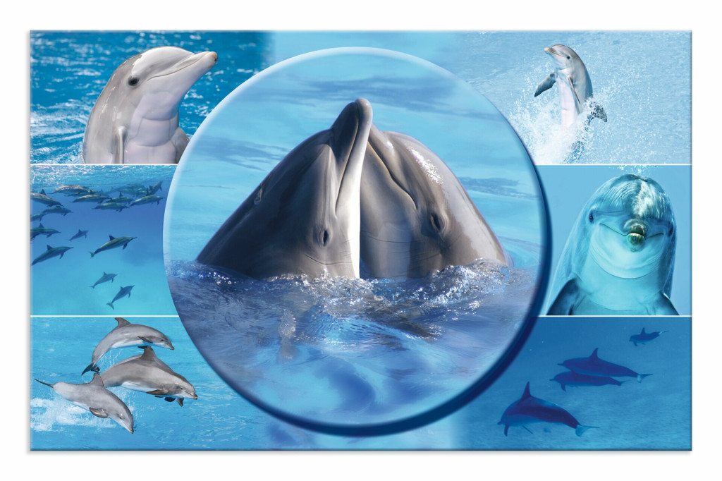 Podloga za sto 550x350 mm, DELFIN Podloga za sto 550x350 mm, DELFIN