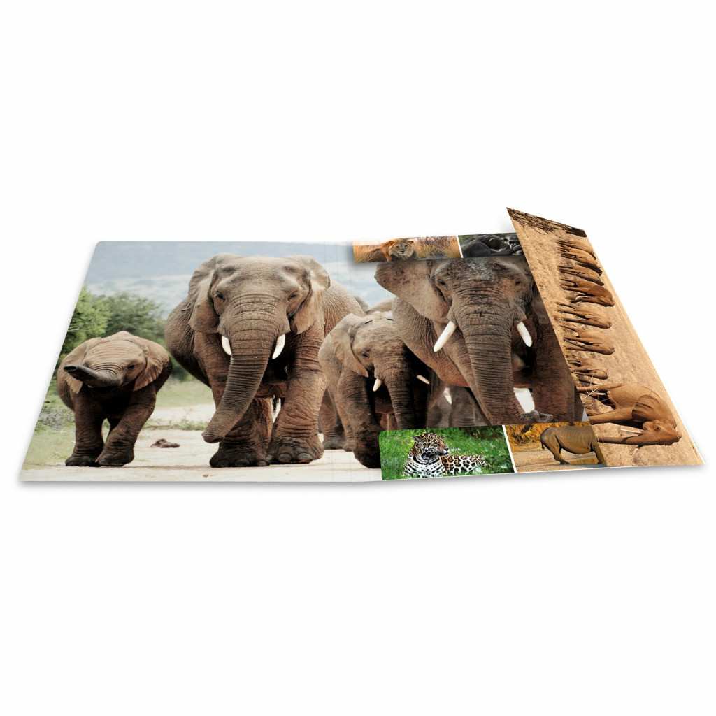 Fascikla plastificirana sa gumicom AFRICA ANIMALS, 240 x 320 x 15 mm