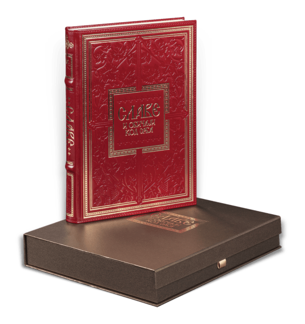 1502-5-copy-600x637